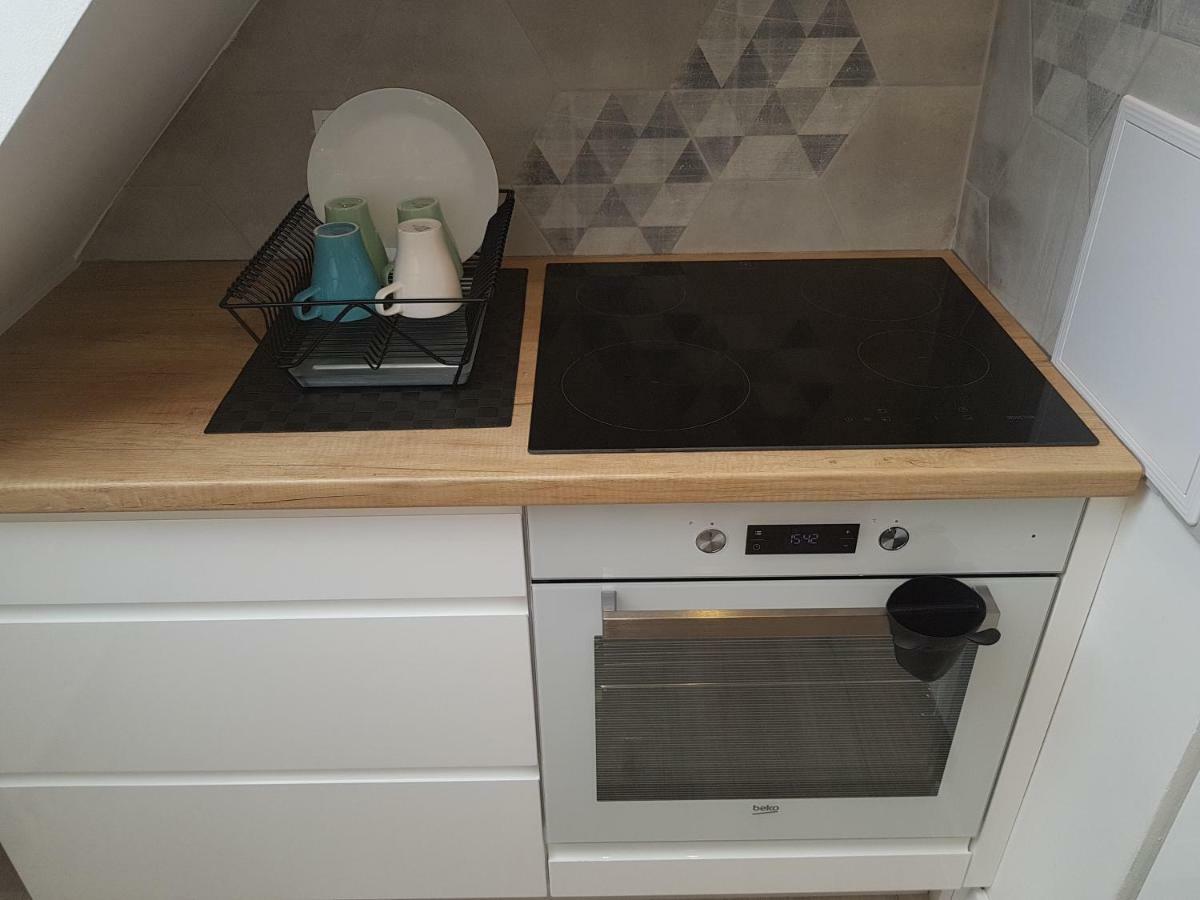 Black Rose Apartament Targi 3 Km, F-Ry Vat 凯尔采 外观 照片