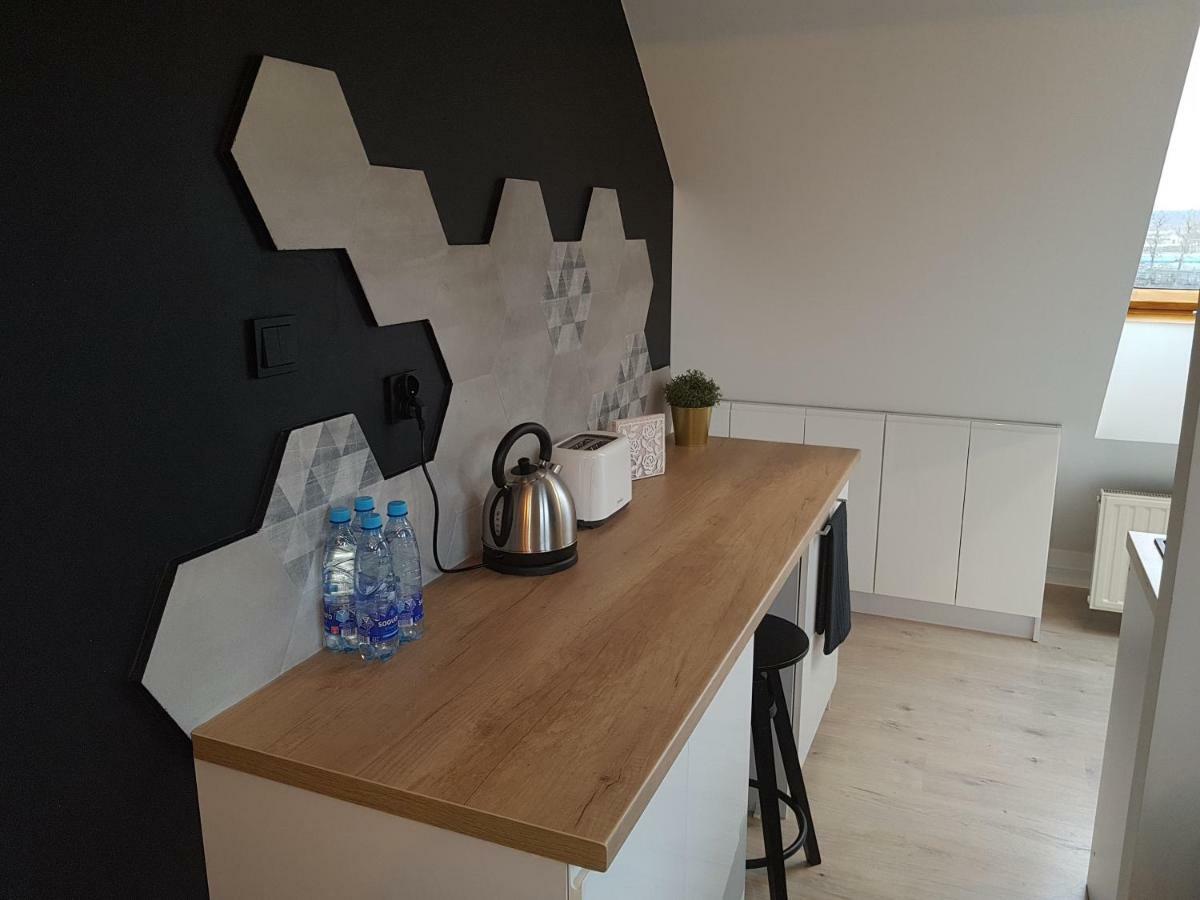 Black Rose Apartament Targi 3 Km, F-Ry Vat 凯尔采 外观 照片