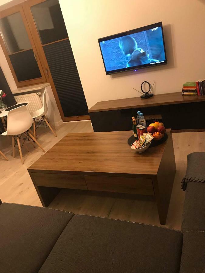 Black Rose Apartament Targi 3 Km, F-Ry Vat 凯尔采 外观 照片
