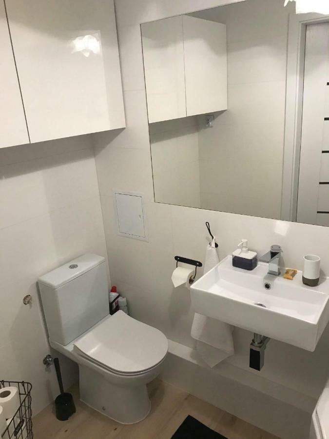 Black Rose Apartament Targi 3 Km, F-Ry Vat 凯尔采 外观 照片