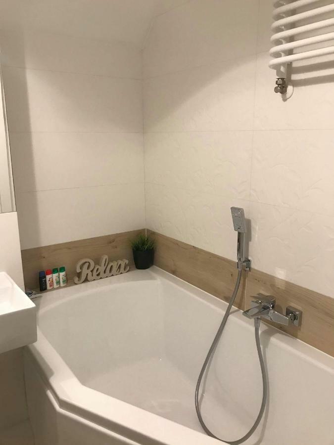 Black Rose Apartament Targi 3 Km, F-Ry Vat 凯尔采 外观 照片