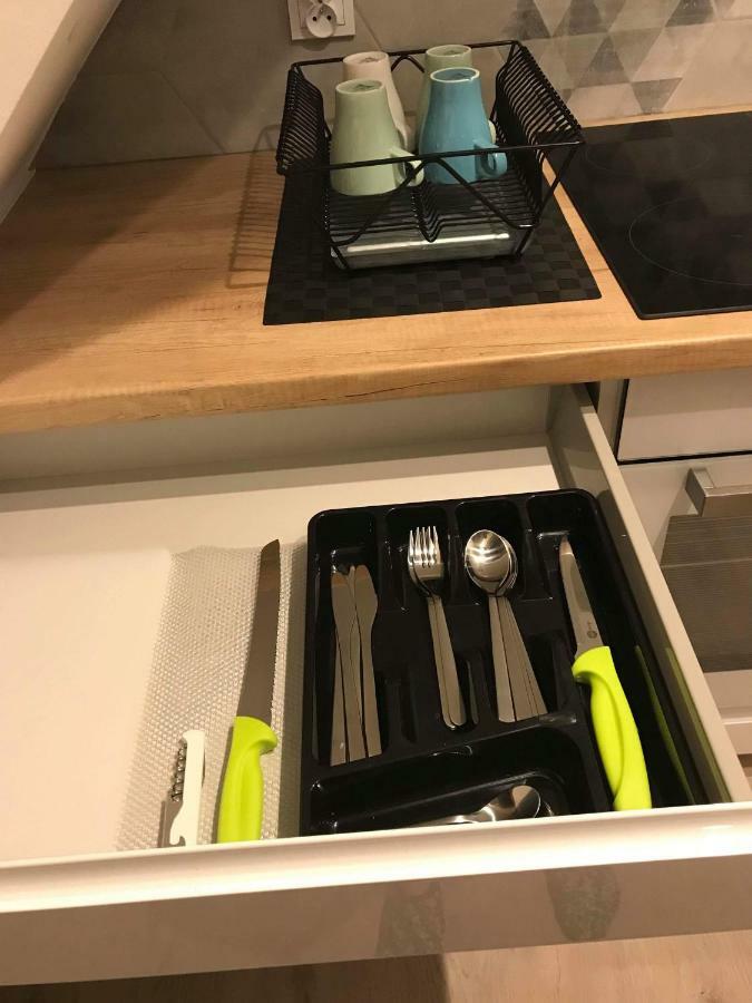 Black Rose Apartament Targi 3 Km, F-Ry Vat 凯尔采 外观 照片